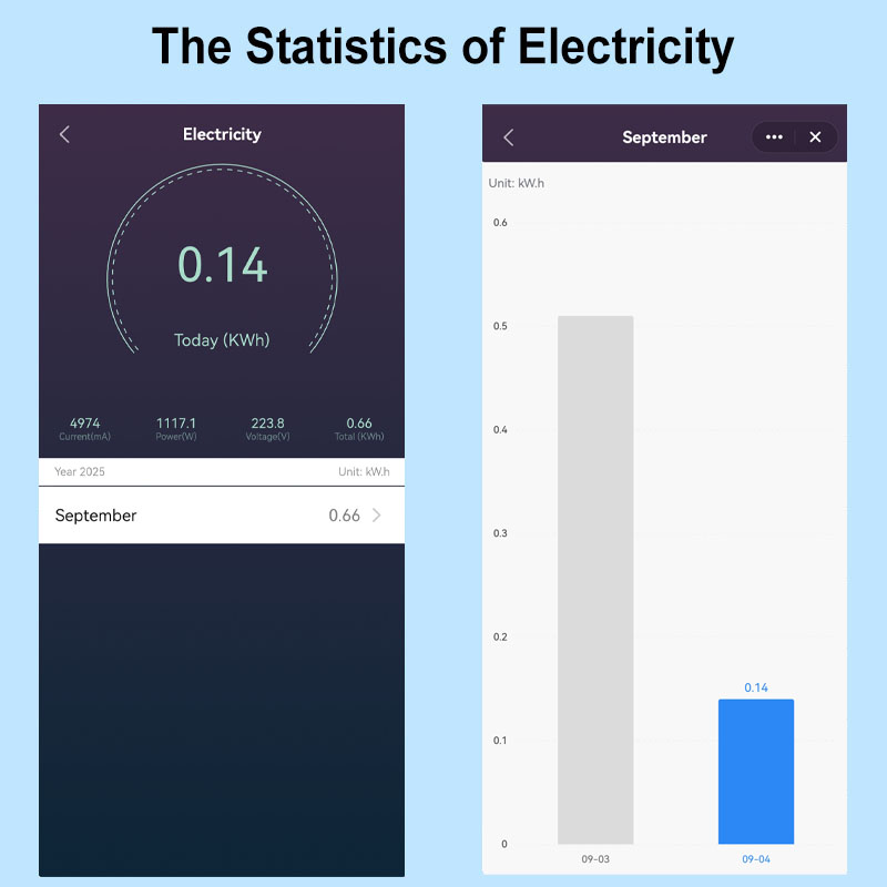AU New Zealand Plug Smart WiFi – Smart Home Google recenzja i cena