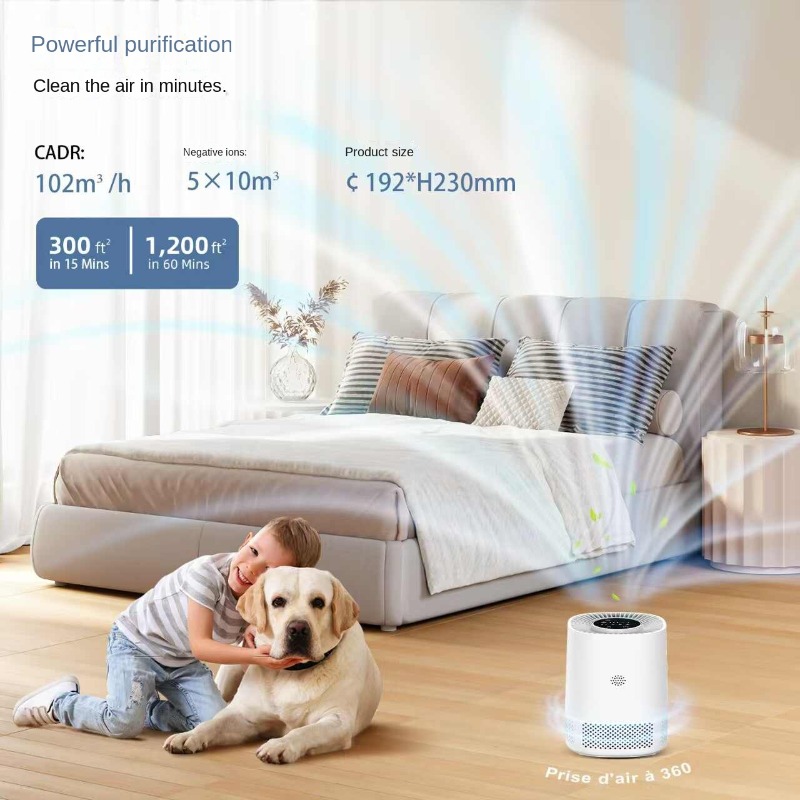 Smart Home Air Purifier with A – Smart Home App recenzja i cena