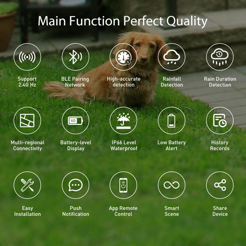 WiFi Rain Sensor Rainfall Dura – Smart Home News recenzja i cena