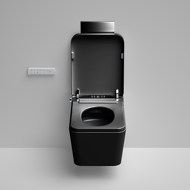 Home Ceramic Bidet Smart Toile – Smart Home Remote Control recenzja i cena