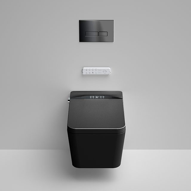 Home Ceramic Bidet Smart Toile – Smart Home Remote Control recenzja i cena